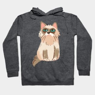 Cat T-shirt E Hoodie